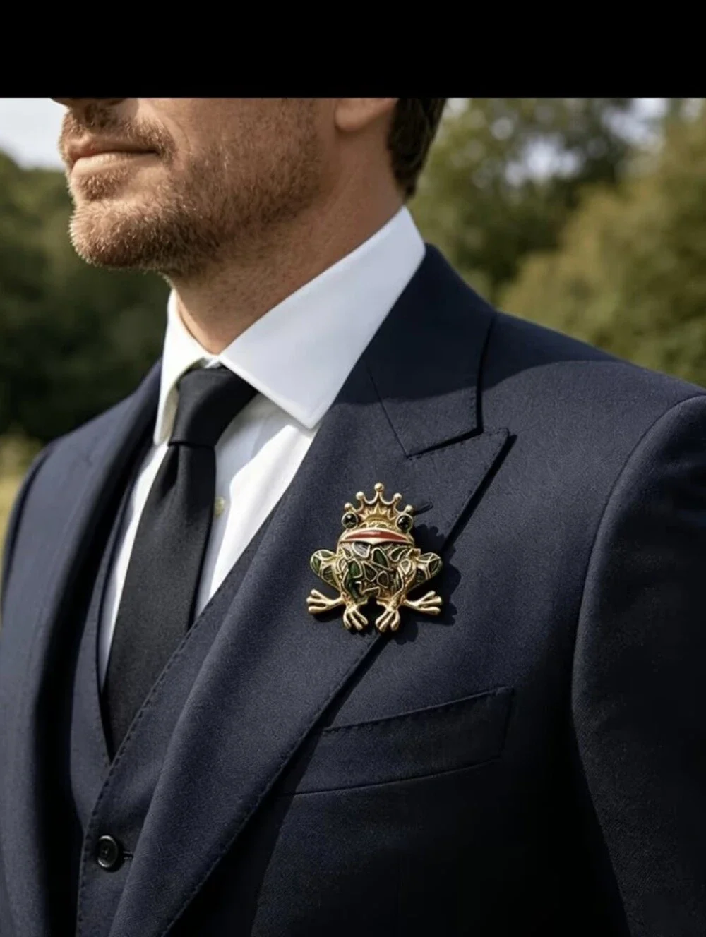 Frog Prince Brooch NEW